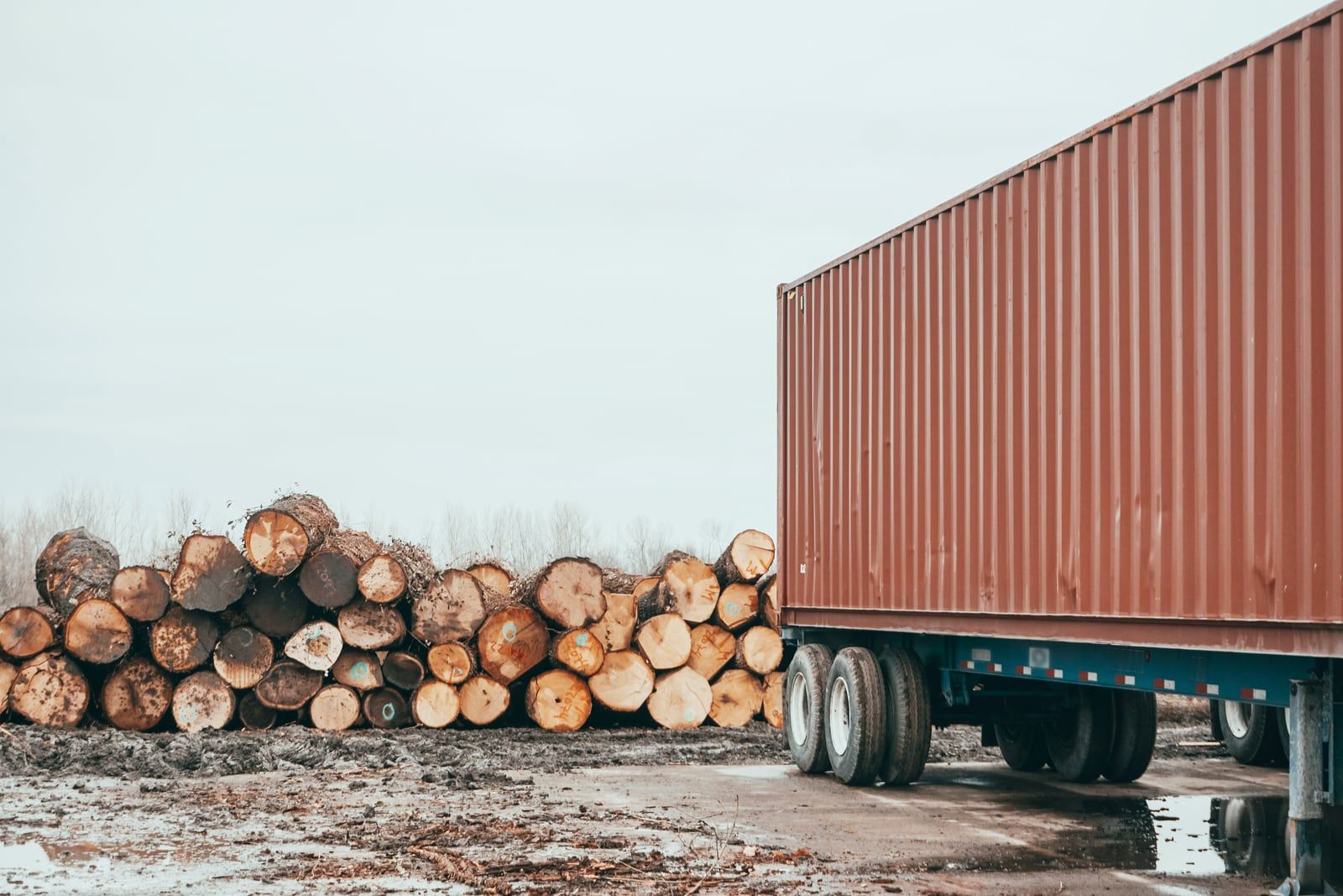 Een stapel rondhout naast een zeecontainer op een chassis